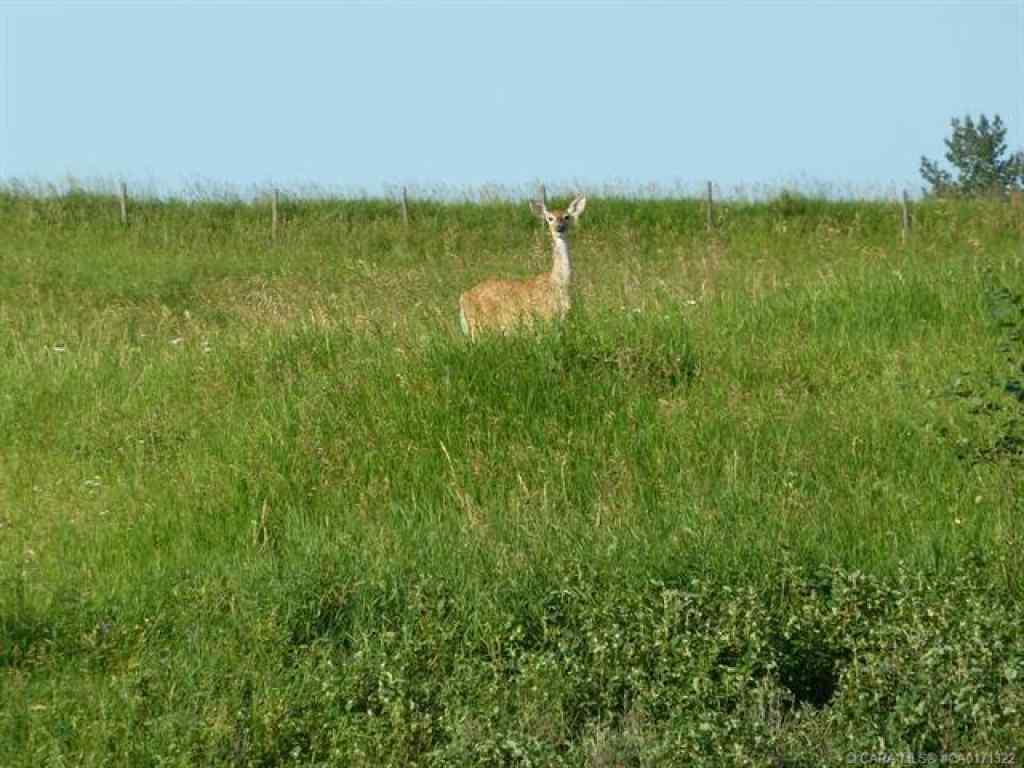 MLS® A2232616 - Unit #6 420069 Range Road 284   in Grandview Estates Rural Ponoka County, Land