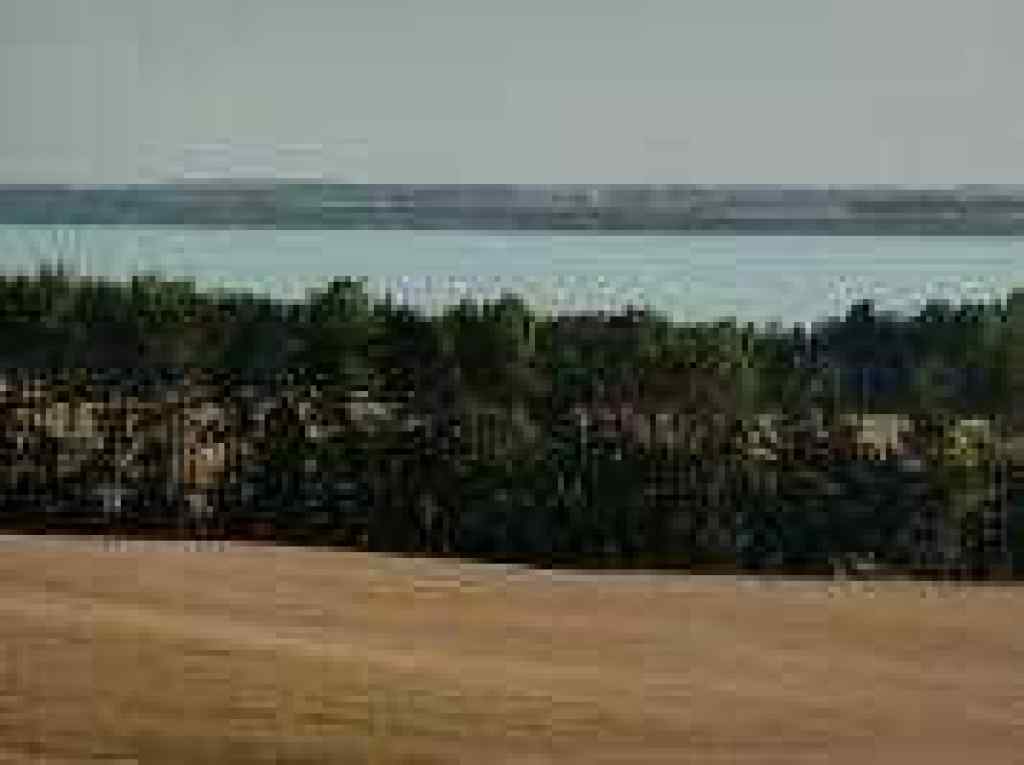 MLS® A2232618 - Unit #7 420069 Range Road 284   in Grandview Estates Rural Ponoka County, Land