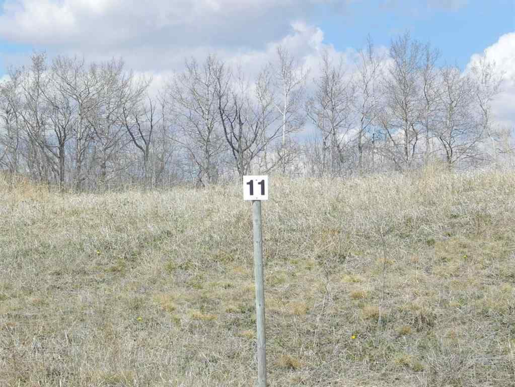 MLS® A2232621 - Unit #11 420069 Range Road 284   in Grandview Estates Rural Ponoka County, Land