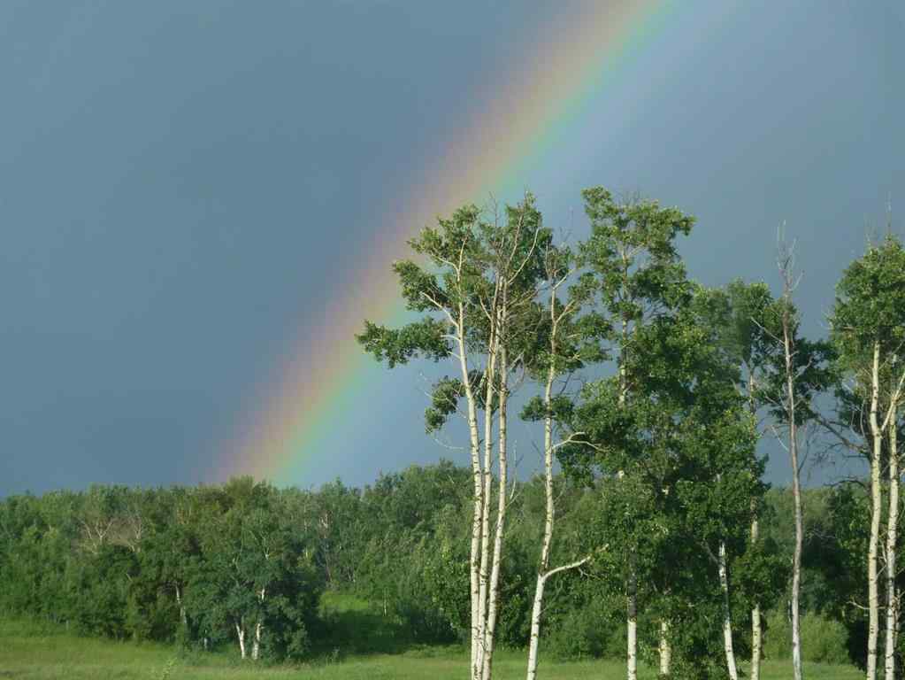 MLS® A2232621 - Unit #11 420069 Range Road 284   in Grandview Estates Rural Ponoka County, Land