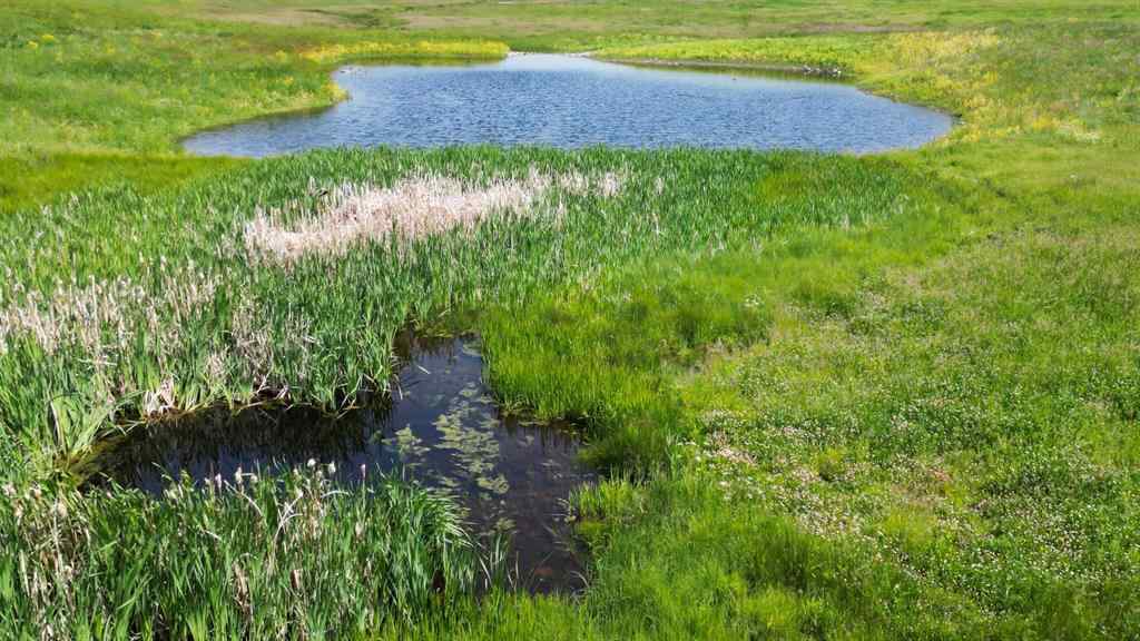 MLS® A2232695 - 178140 96 Street W in NONE Rural Foothills County, Land