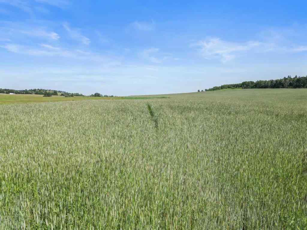MLS® A2232695 - 178140 96 Street W in NONE Rural Foothills County, Land