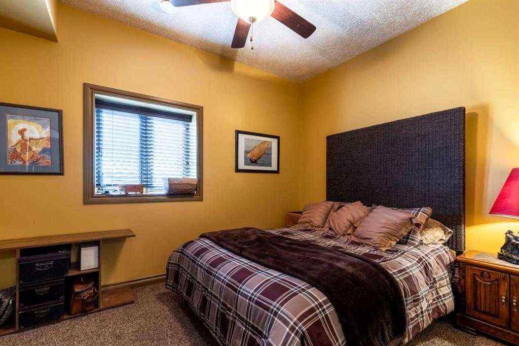 MLS® A2232789 - 21468 Range Road 13   in NONE Bindloss, Residential