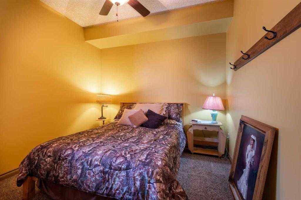 MLS® A2232789 - 21468 Range Road 13   in NONE Bindloss, Residential