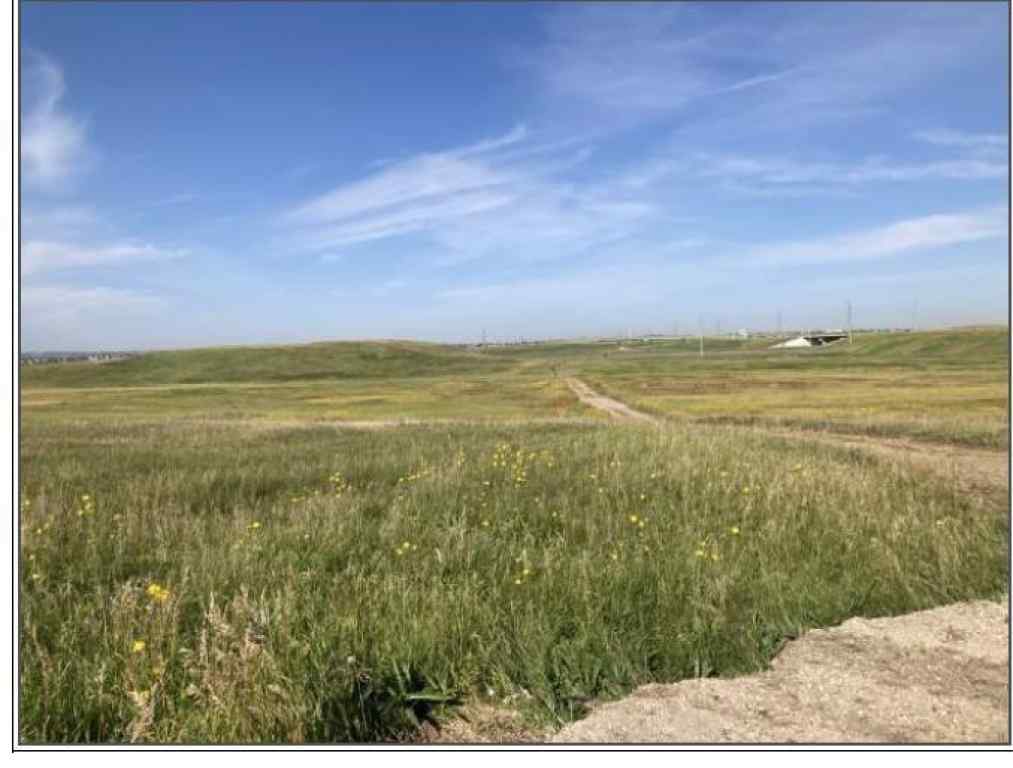 MLS® A2232790 - 13105 24 Street NE in Stoney 1 Calgary, Land