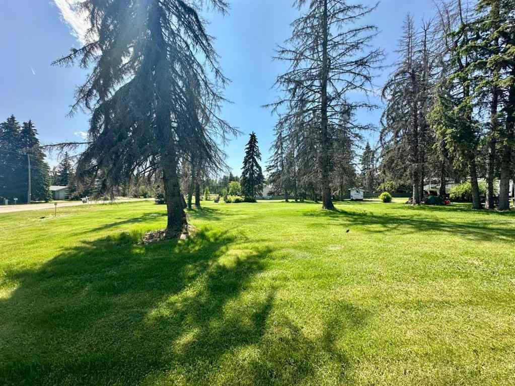 MLS® A2233106 - 114 62036 TWP RD 462   in NONE Buck Lake, Land