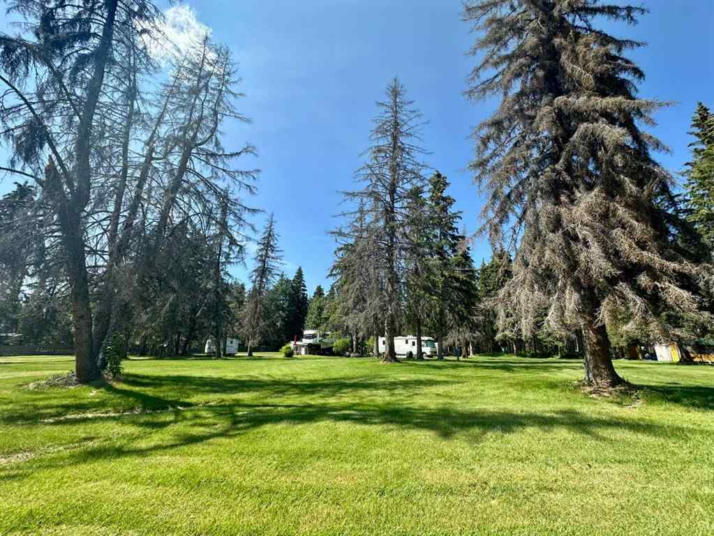 MLS® A2233106 - 114 62036 TWP RD 462   in NONE Buck Lake, Land