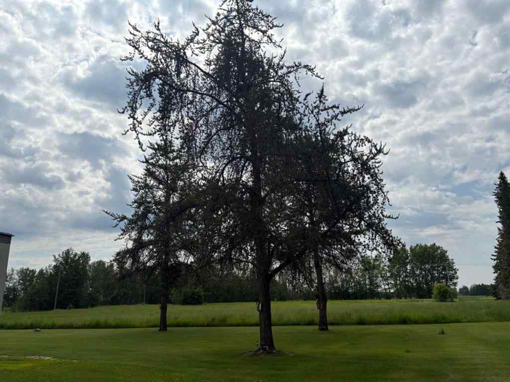 MLS® A2233226 - 193022 Township Road 683.5   in NONE Rural Athabasca County, Residential