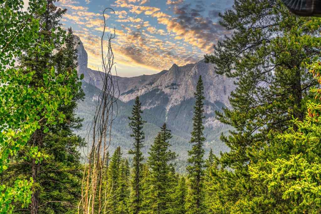 MLS® A2233257 - 5 Woodside Lane  in Larch Canmore, Residential