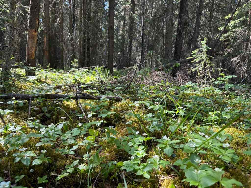 MLS® A2233283 - 282226 Range Road 54A   in NONE Rural Rocky View County, Residential