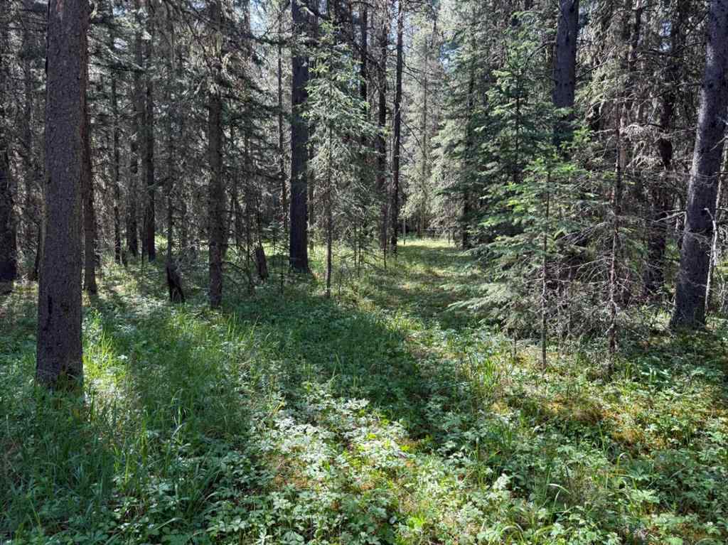 MLS® A2233283 - 282226 Range Road 54A   in NONE Rural Rocky View County, Residential