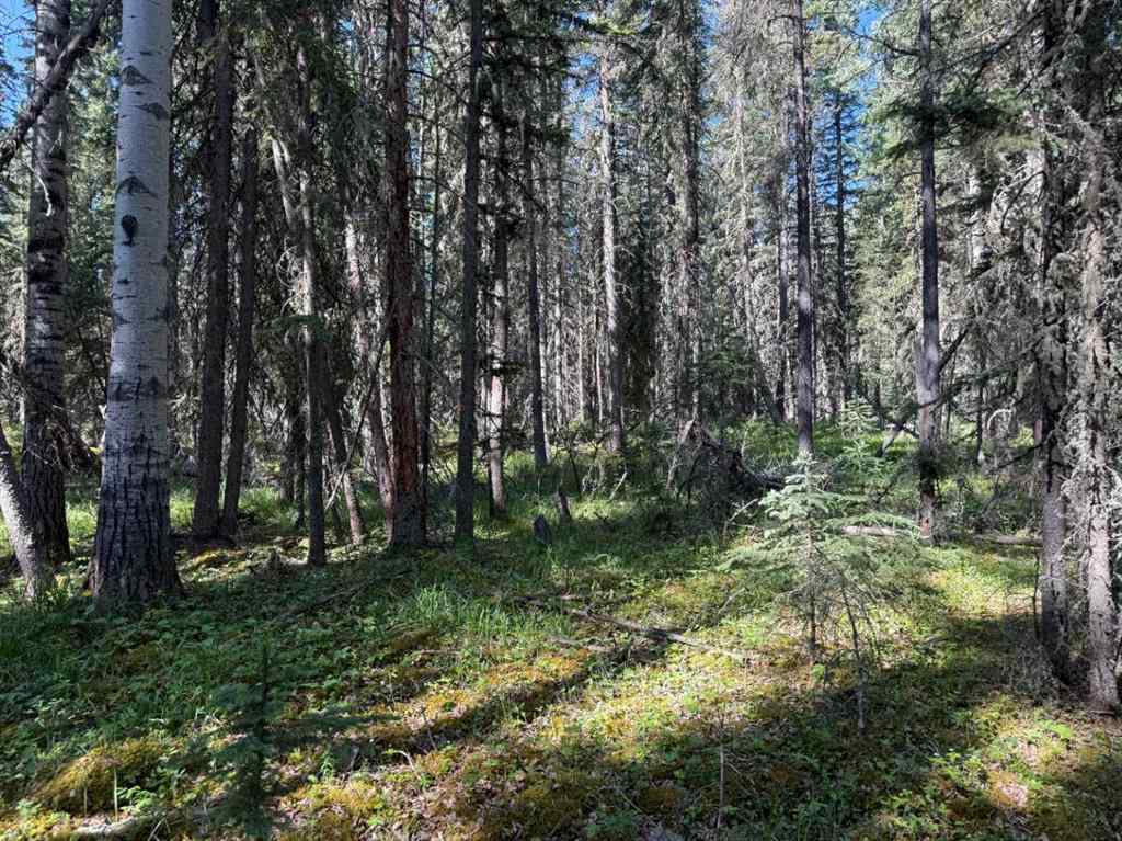 MLS® A2233283 - 282226 Range Road 54A   in NONE Rural Rocky View County, Residential