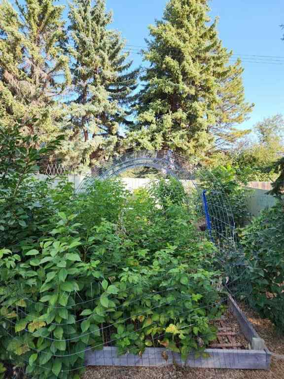MLS® A2233466 - 221 Center Avenue NE in NONE Milk River, Residential