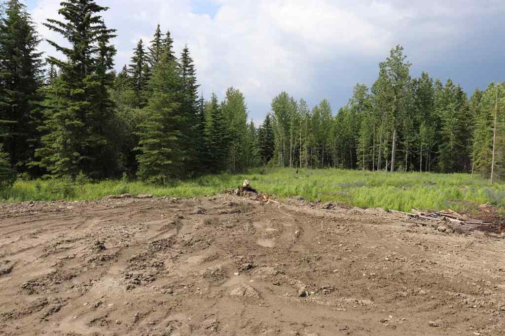 MLS® A2233507 - 53428 A Range Road 170   in NONE Edson, Land
