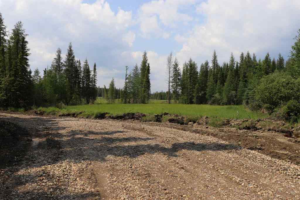 MLS® A2233507 - 53428 A Range Road 170   in NONE Edson, Land