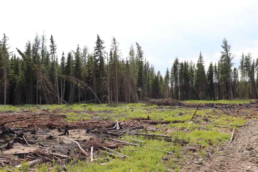 MLS® A2233507 - 53428 A Range Road 170   in NONE Edson, Land