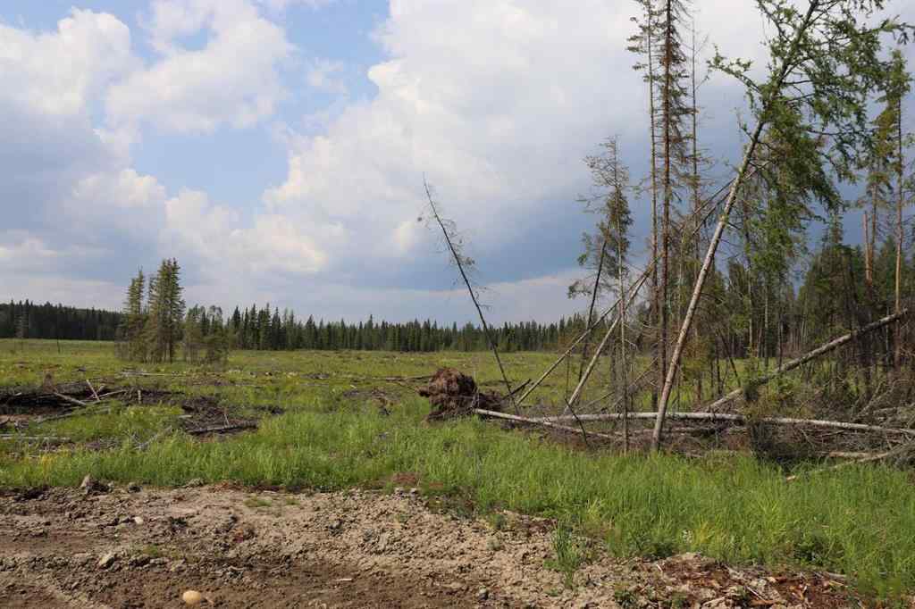 MLS® A2233507 - 53428 A Range Road 170   in NONE Edson, Land