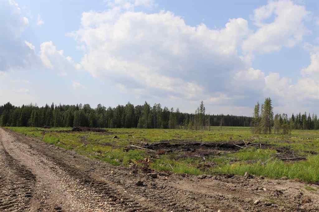 MLS® A2233507 - 53428 A Range Road 170   in NONE Edson, Land