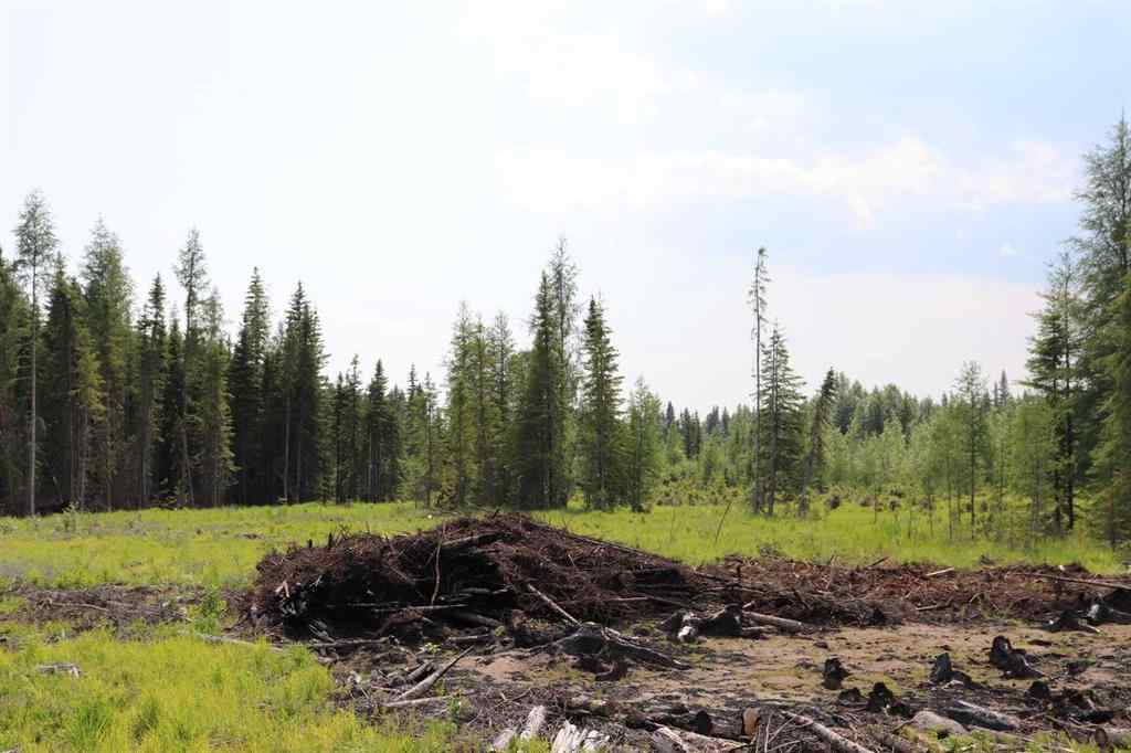 MLS® A2233507 - 53428 A Range Road 170   in NONE Edson, Land