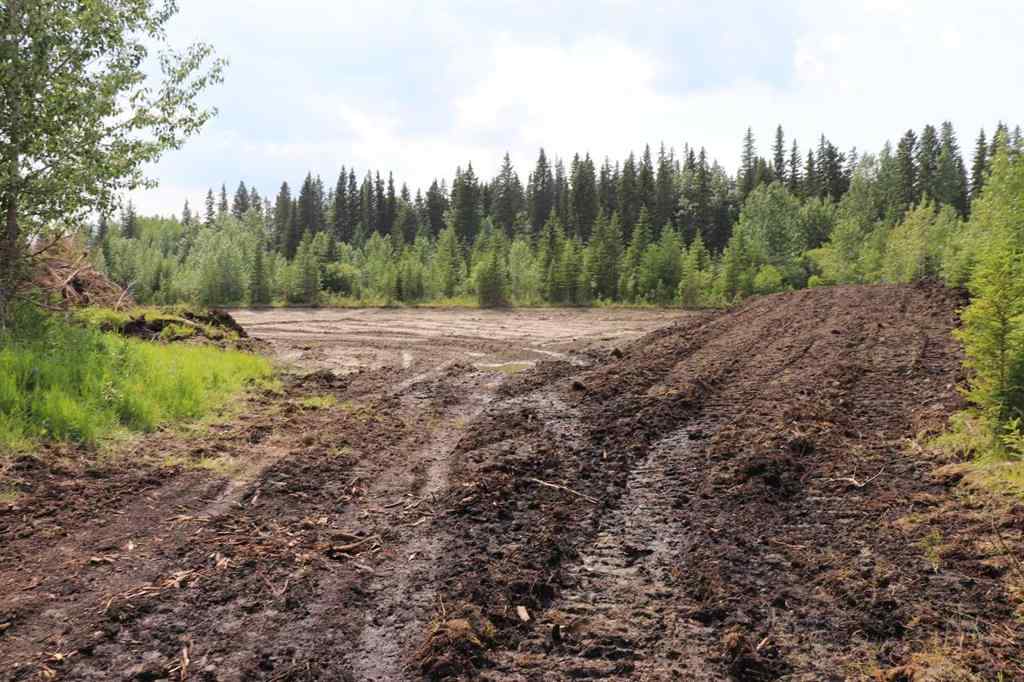 MLS® A2233507 - 53428 A Range Road 170   in NONE Edson, Land