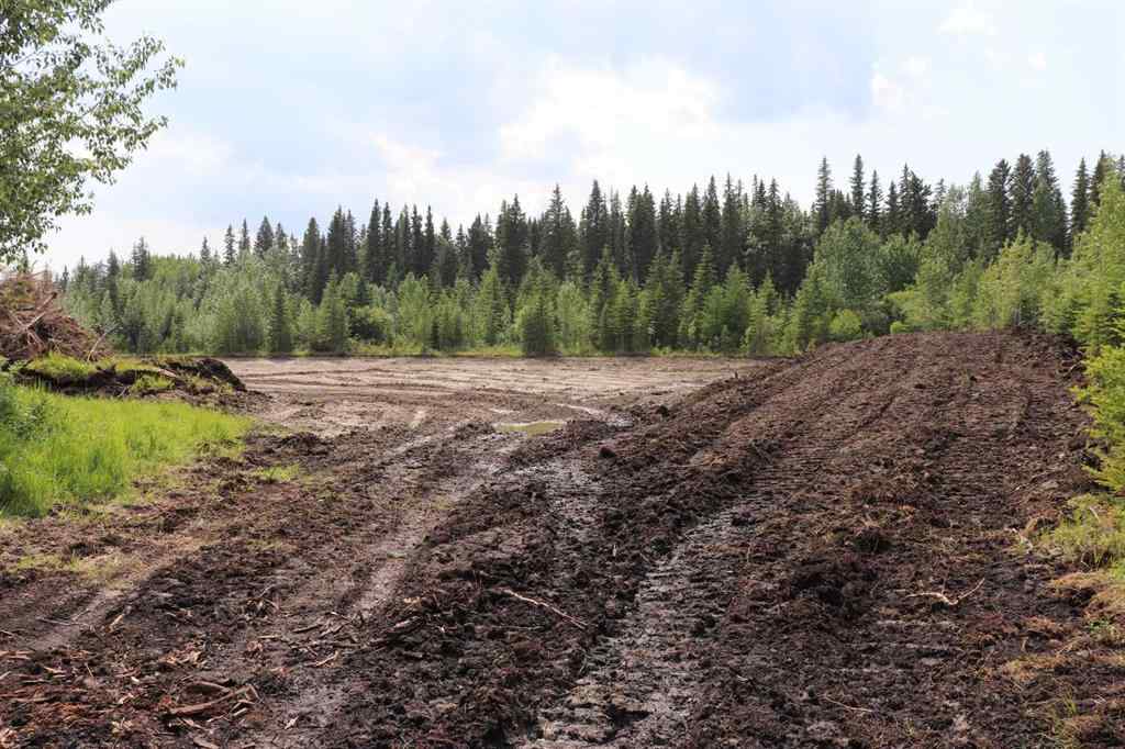 MLS® A2233507 - 53428 A Range Road 170   in NONE Edson, Land