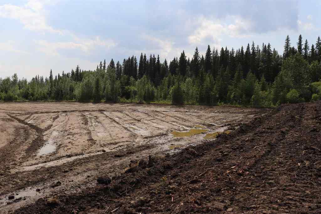MLS® A2233507 - 53428 A Range Road 170   in NONE Edson, Land