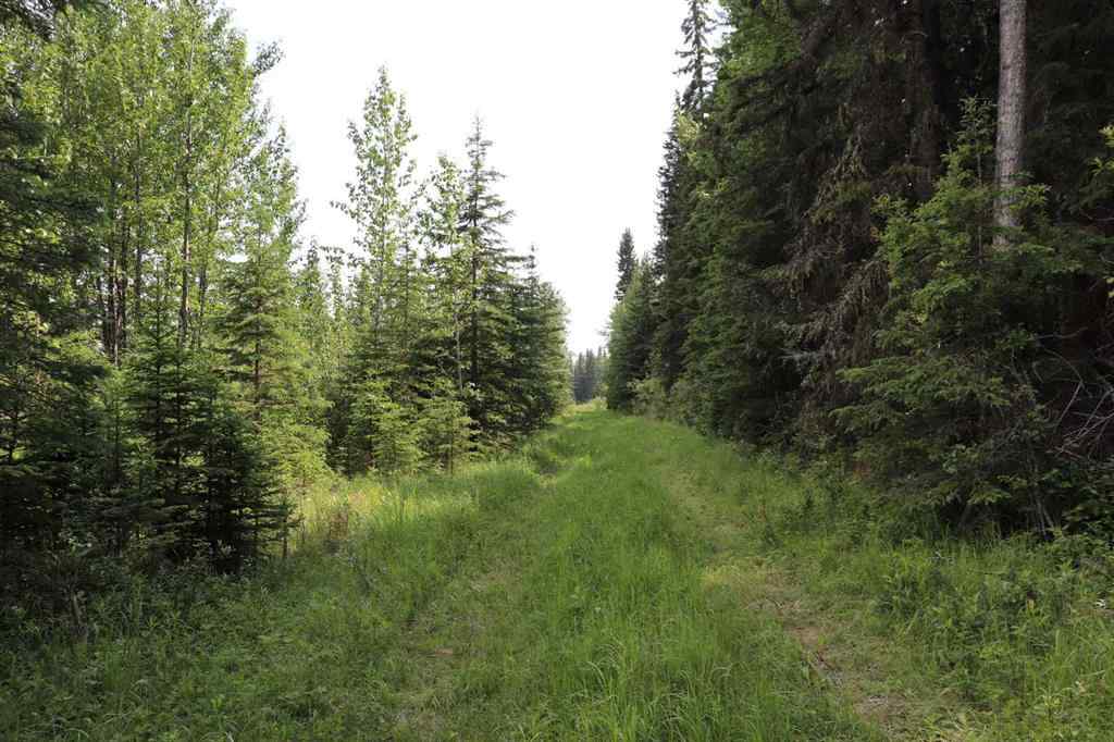 MLS® A2233507 - 53428 A Range Road 170   in NONE Edson, Land