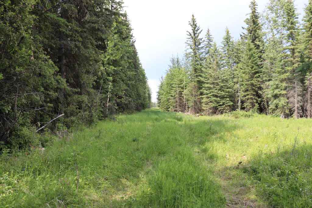 MLS® A2233507 - 53428 A Range Road 170   in NONE Edson, Land