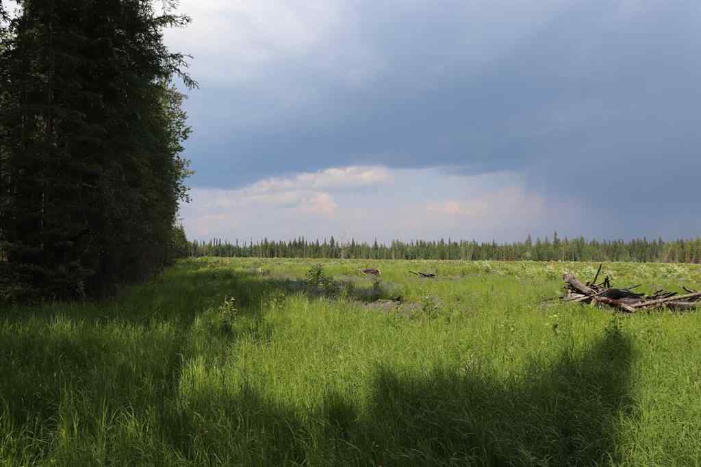 MLS® A2233507 - 53428 A Range Road 170   in NONE Edson, Land