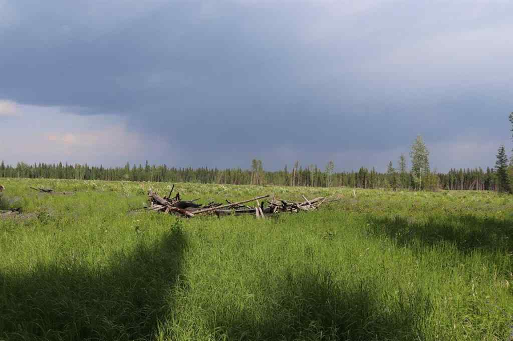 MLS® A2233507 - 53428 A Range Road 170   in NONE Edson, Land