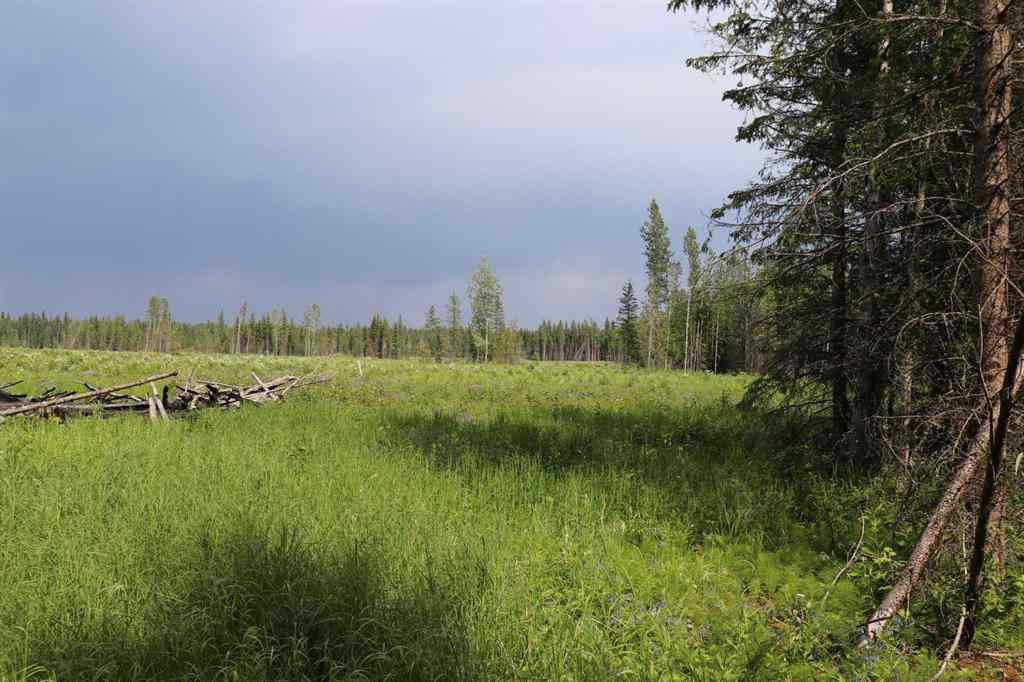 MLS® A2233507 - 53428 A Range Road 170   in NONE Edson, Land