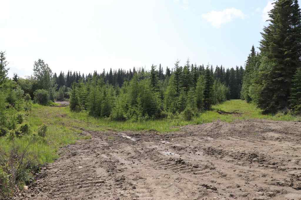 MLS® A2233507 - 53428 A Range Road 170   in NONE Edson, Land