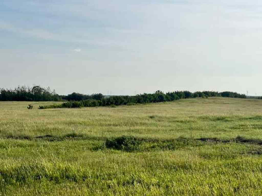MLS® A2233581 - 37232 RR135   in NONE Rural Paintearth No. 18, County of, Land