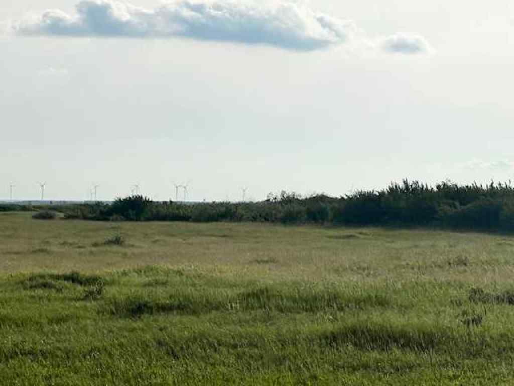 MLS® A2233581 - 37232 RR135   in NONE Rural Paintearth No. 18, County of, Land