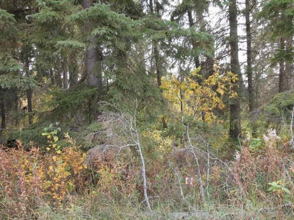 MLS® A2233674 - Lot 25 Bodnar Road  in NONE Brightsand Lake, Land
