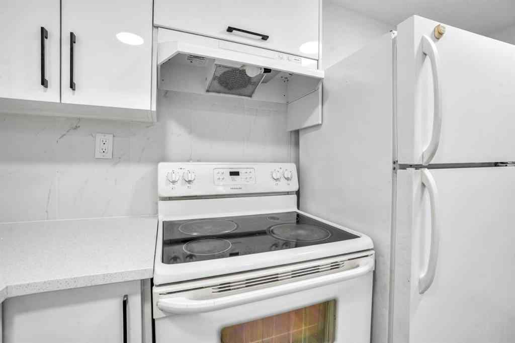 MLS® A2233775 - 343 falshire Drive NE in Falconridge Calgary, Residential