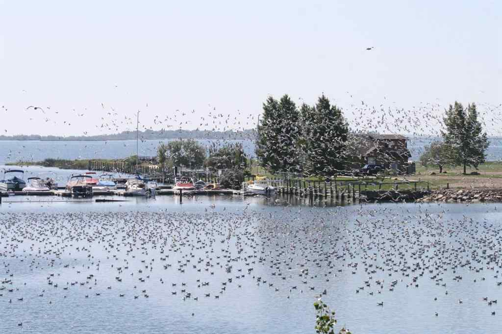 MLS® A2233785 - 95 white pelican View  in NONE Lake Newell Resort, Land