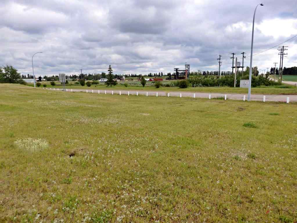 MLS® A2233797 - 6103 52 Avenue  in Vermilion Vermilion, Land