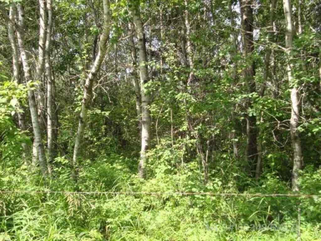 MLS® A2233802 - Parcel E MARIE HANSON RD   in NONE Brightsand Lake, Land