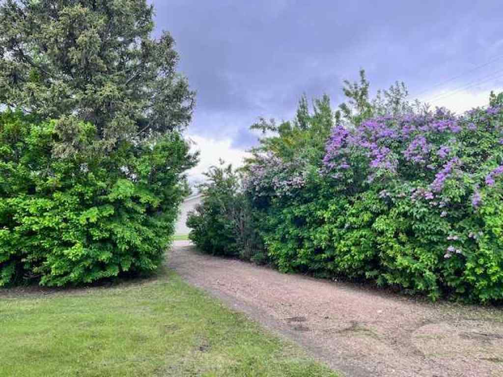 MLS® A2233820 - 100 1st Avenue  in NONE Neilburg, Residential