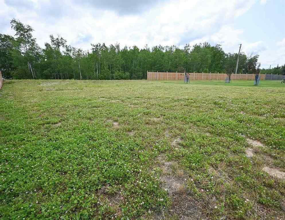 MLS® A2233892 - 5404 Poplar Lane  in Athabasca Town Athabasca, Land