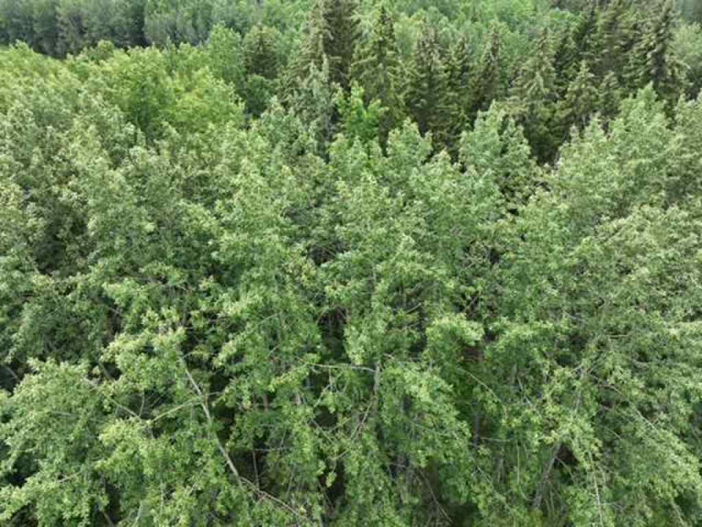 MLS® A2234068 -  NW 30-68-22-W4   in NONE Rural Athabasca County, Land