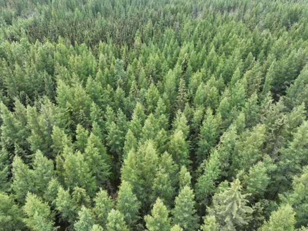 MLS® A2234068 -  NW 30-68-22-W4   in NONE Rural Athabasca County, Land