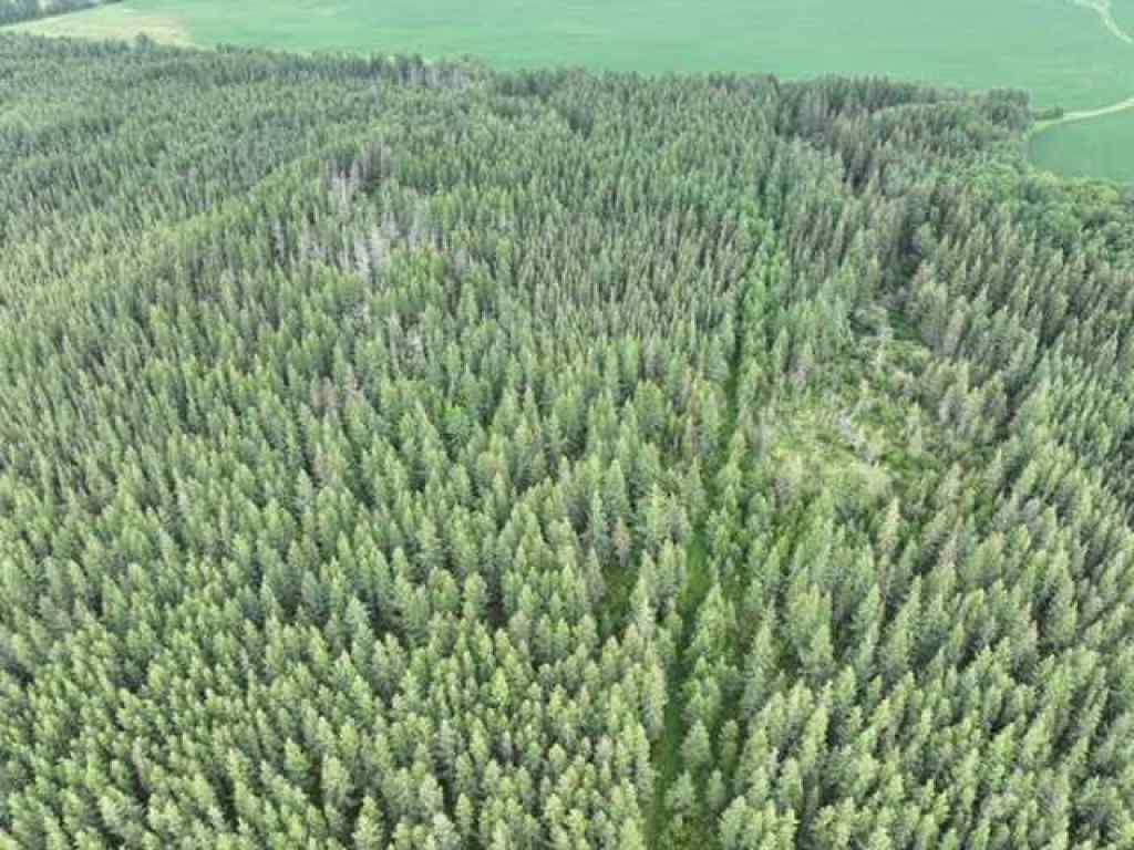 MLS® A2234068 -  NW 30-68-22-W4   in NONE Rural Athabasca County, Land