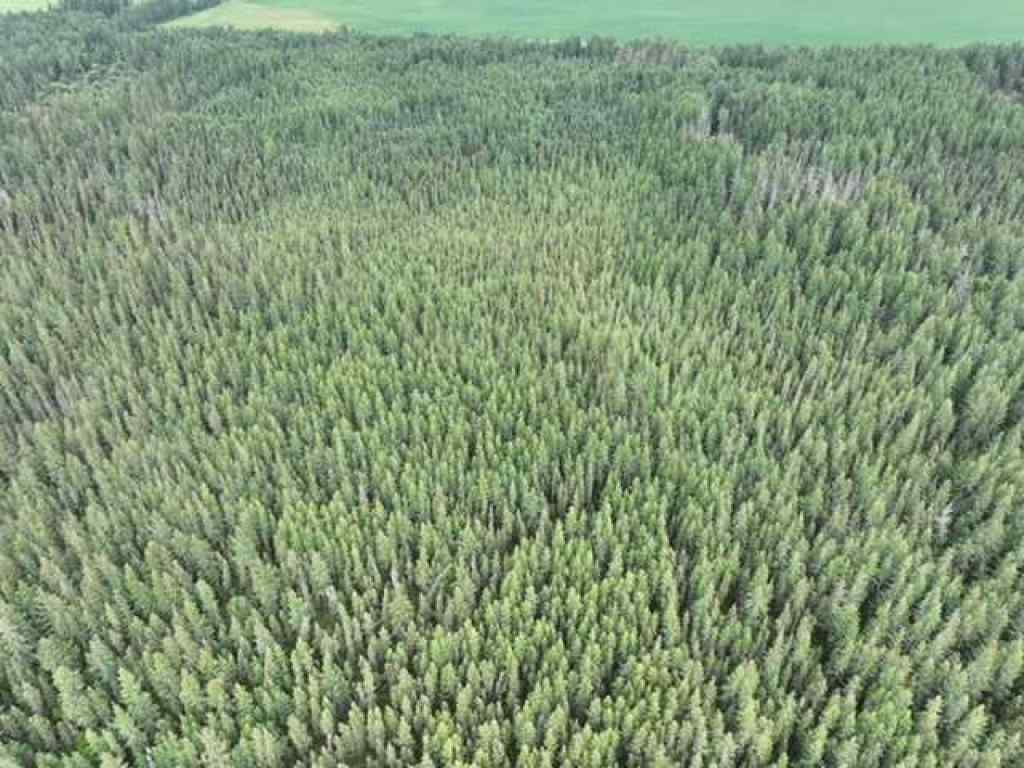 MLS® A2234068 -  NW 30-68-22-W4   in NONE Rural Athabasca County, Land