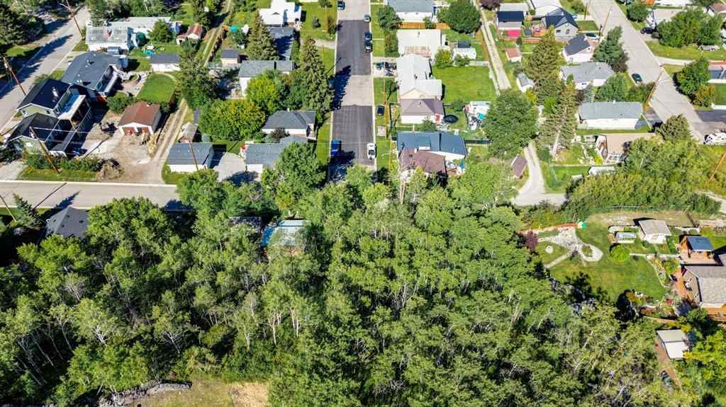 MLS® A2234086 - 1539 134 Street  in NONE Blairmore, Land