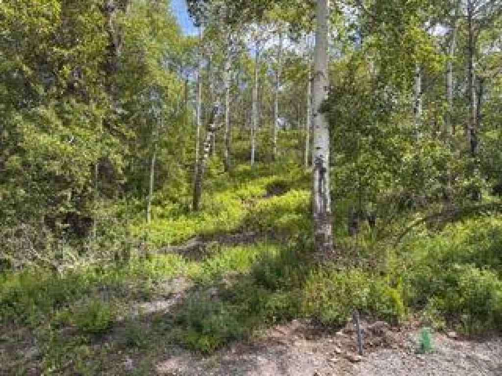 MLS® A2234086 - 1539 134 Street  in NONE Blairmore, Land