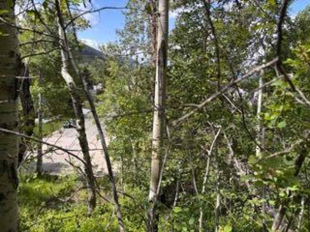 MLS® A2234086 - 1539 134 Street  in NONE Blairmore, Land
