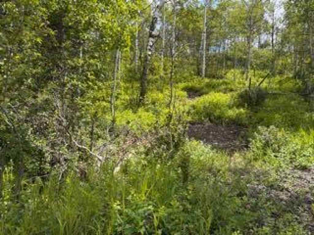 MLS® A2234086 - 1539 134 Street  in NONE Blairmore, Land