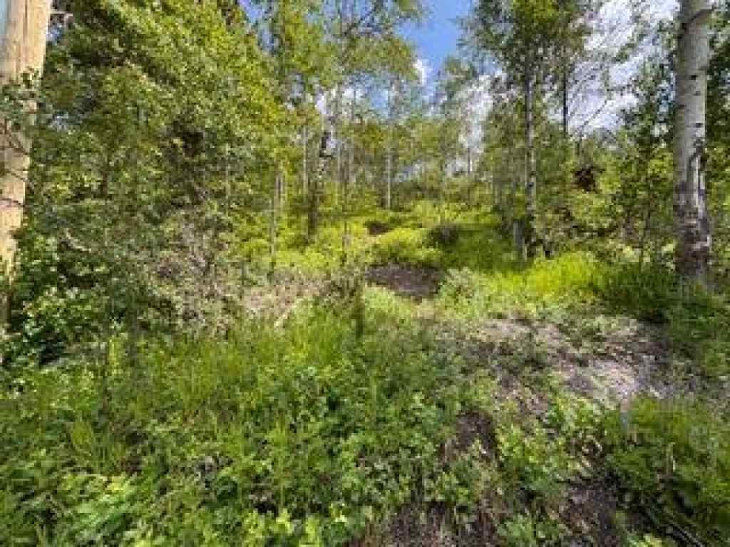 MLS® A2234086 - 1539 134 Street  in NONE Blairmore, Land